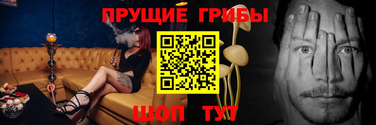 Магадан  Псилоцибиновые грибы прущие грибы  Вход с VPN 